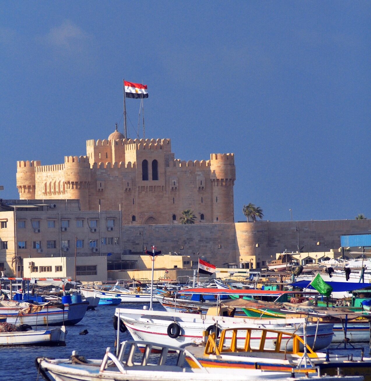 Alexandria View