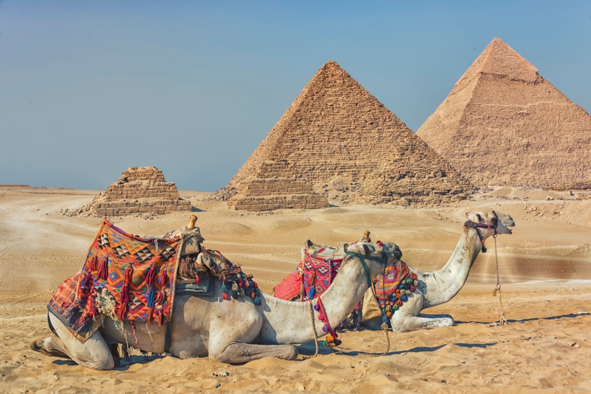 Luxor & Aswan